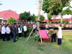 Jokoi Tanam Pohon Pulai di Halaman Istana untuk Kenang-kenangan