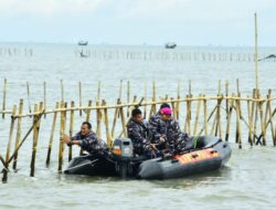 TNI AL Bongkar Pagar Laut di Tangerang atas Perintah Presiden Prabowo Subianto