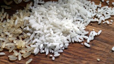 Rahasia Nasi Lezat: Eksperimen Mengganti Air dengan Kaldu, Santan, dan Inovasi Rasa