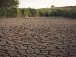 Ancaman ‘Godzilla El Nino’ April 2026: BRIN dan BMKG Ingatkan Potensi Kemarau Ekstrem di Indonesia