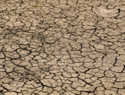 Ancaman Gagal Panen Menghantui! Pemerintah Didesak Antisipasi Kemarau Ekstrem 2026