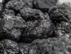 Batu Bara jadi Peluang Ekspor Indonesia di Tengah Pengecualian Pemerintahan Trump
