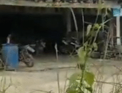 Polda Kalbar Amankan Penampung Emas Ilegal di Melawi Modus Bengkel Motor yang Tersembunyi
