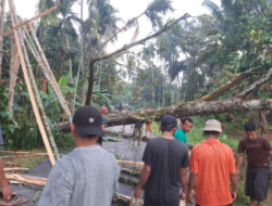 Perkembangan Situasi Terkini dan Penanganan Bencana Sepanjang Hari Ini oleh BNPB