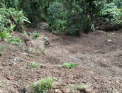 Perkembangan Situasi dan Penanganan Bencana 5 Juni 2025