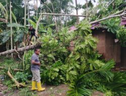Perkembangan Situasi dan Penanganan Bencana 12 Juli 2025