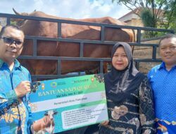 Bank Kalbar Salurkan 29 Hewan Kurban ke Seluruh Kalbar Sambut Idul Adha 1446 H