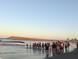 Info BNPB: Perkembangan Situasi dan Penanganan Bencana di Tanah Air Hingga Tanggal 7 Agustus 2025