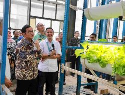 Dukung Pengembangan Urban Farming di Ibu Kota, Pemprov DKI Siapkan Panel Surya