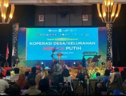 BGN Dorong Ketersediaan Pangan Bergizi Lewat KDKMP
