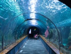 Norwegia Bangun Terowongan Bawah Laut Terpanjang di Dunia