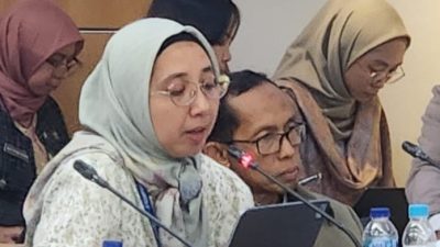 Biar Paham! Ini Perbedaan antara Tanggul Pengaman Pantai Jakarta dan Giant Sea Wall