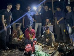 Polres Bengkalis Ungkap Dugaan Ilegal Logging yang Merusak Hutan di Bandar Laksamana