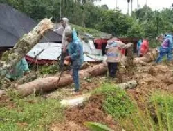 Sebagian Wilayah Terdampak Bencana di Sumatera Masih Gelap Gulita