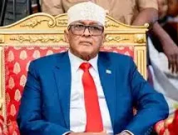 Strategi “Barter” Somaliland: Tawaran Mineral Kritis dan Pangkalan Militer Demi Pengakuan Washington