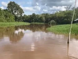 Diduga Terdampak PETI dan Limbah Sawit, Air Sungai Retok yang Keruh Dikeluhkan Warga 