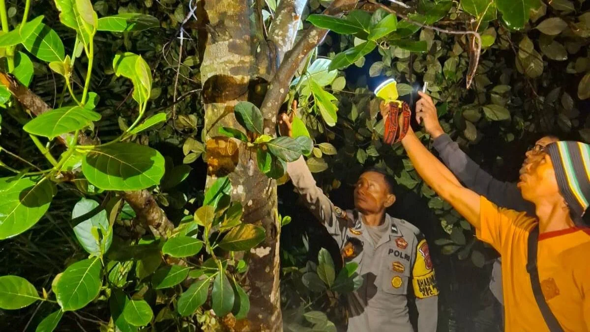 "Pria 42 Tahun Ditemukan Tewas Tergantung di Kebun Sawit Parindu"