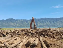 Lumpur dan Kayu Gelondongan Dipangkas, Asa Petani Toweren Menanam Kembali Mulai Terbit
