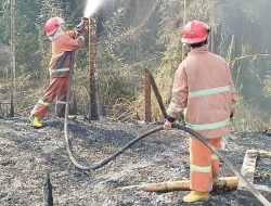 Indonesia Dikepung Bencana: Banjir Rendam Ribuan Rumah di Pemalang hingga Karhutla di Simalungun