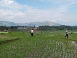 Amankan Lumbung Pangan, Kementan dan Pemprov Jabar Siapkan Pompanisasi Hadapi Kemarau Panjang 2026