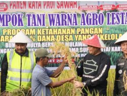 Panen Raya Maret 2026: Stok Beras Nasional Aman untuk 324 Hari ke Depan
