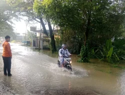 Indonesia Dikepung Bencana: Banjir Terjang Jawa-Kalimantan, Karhutla Riau Tembus 3.400 Hektare
