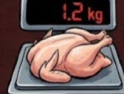 Triliunan Rupiah Lenyap? Skandal ‘Ayam Mengecil’ di Program Makan Bergizi Gratis Terkuak!