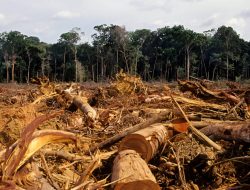 Deforestasi Picu Bencana di Sumatera, DPR Desak Kemenhut Gunakan Teknologi Satelit