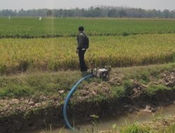 Kementan Siagakan 80 Ribu Pompa Air Hadapi Ancaman El Nino Ekstrem April 2026