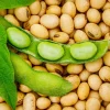 Studi Terbaru: Konsumsi Kedelai dan Kacang-kacangan Ampuh Turunkan Risiko Darah Tinggi, Ini Takaran Idealnya