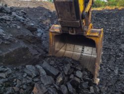 Harga Batu Bara Meroket di Awal Mei 2026, Permintaan Asia Jadi Pemicu Utama