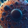 Strain Baru Virus Ebola Mengancam, Thailand Wajibkan Karantina 21 Hari dan Kemenkes RI Perketat Bandara
