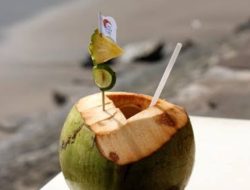 Jangan Asal Minum! Ini Alasan Air Kelapa Murni Ampuh Atasi Asam Lambung Kronis