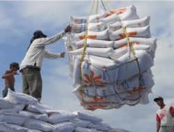 Pemerintah Impor 35 Ribu Ton Beras, Swasembada Omon-Omon?