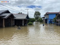 Ribuan Rumah dan Fasilitas Umum Terendam Banjir di Hulu Sungai Tengah