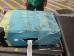 BNN Tangkap Dua Warga Negara Rusia Penyelundup 7,8 Kilogram Hashish di Bali