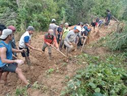 Perkembangan Situasi dan Penanganan Bencana di Tanah Air Selasa 2 Juni 2026
