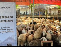 Yayasan Asa Untuk Negeri Tebar Kebahagiaan Iduladha Melalui 2.239 Hewan Qurban