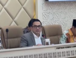 DPR Desak Proteksi Khusus untuk BPD di Tengah Ketatnya Regulasi Perbankan