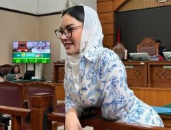 Sidang PK Nikita Mirzani: Ahli Sebut Penerapan Pasal ITE Keliru