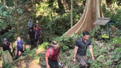Bupati Kapuas Hulu Fransiskus Diaan meninjau langsung keaslian alam kawasan air terjun untuk melihat potensi pengembangan pariwisata daerah.