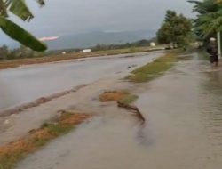 Hujan Deras Picu Luapan Sungai Toribulu, Delapan Hektar Sawah di Parigi Moutong Terendam Banjir