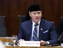 Pemerintah Kombinasikan Proyek Giant Sea Wall di Pantura Jawa dengan Hutan Mangrove