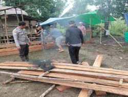 Polsek Belitang Hilir Musnahkan Arena Sabung Ayam di Sekadau Berkat Laporan Warga