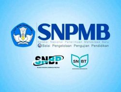 60 Ribu Camaba Lulus Seleksi Nasional PTN Tidak Daftar Ulang, Tim SNPMB: Akibat Kendala Biaya dan Masuk Prodi Lain