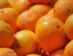 Produksi Jeruk Indonesia Melimpah, Kenapa Masih Tergantung Impor?