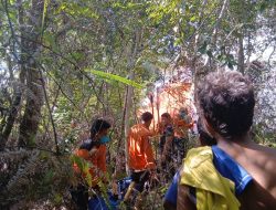 BNPB Peringatkan Ancaman Kekeringan dan Karhutla Mengintai Puluhan Provinsi