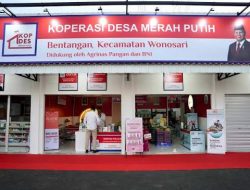 Setiap Unit Koperasi Desa Merah Putih Diproyeksikan Raup Untung Rp597 Juta per Tahun
