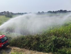 Cuaca Ekstrem Picu Kebakaran Hutan dan Lahan di Kalsel Jatim Hingga Aceh