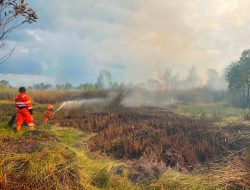 Lahan Seluas 4,7 Hektare Terbakar di Wilayah Banjarbaru dan Belitung Timur